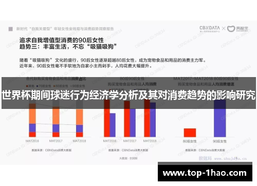 世界杯期间球迷行为经济学分析及其对消费趋势的影响研究