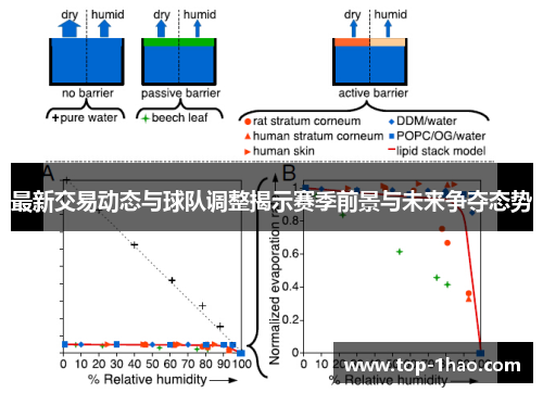 最新交易动态与球队调整揭示赛季前景与未来争夺态势