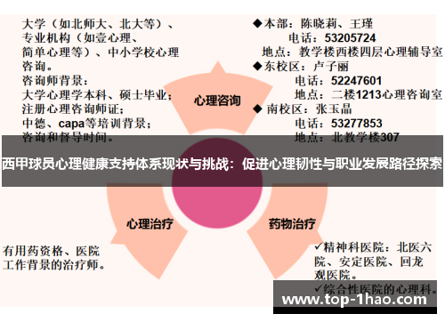 西甲球员心理健康支持体系现状与挑战：促进心理韧性与职业发展路径探索