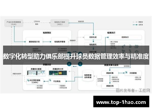 数字化转型助力俱乐部提升球员数据管理效率与精准度