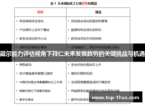 戴尔能力评估视角下拜仁未来发展趋势的关键挑战与机遇