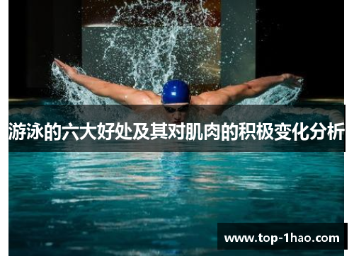 游泳的六大好处及其对肌肉的积极变化分析