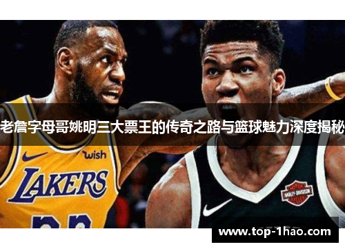 老詹字母哥姚明三大票王的传奇之路与篮球魅力深度揭秘